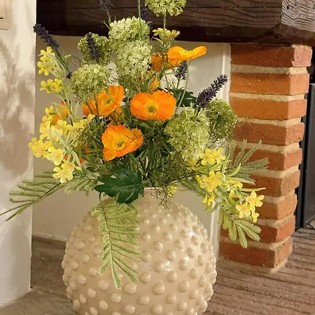 'under The Tuscan Sun' - Beautiful With Swimming Pool Near